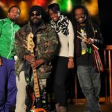 Imagen del artista The Wailers