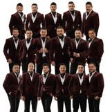 Imagem do artista Banda El Recodo De Cruz Lizárraga