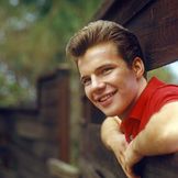 Imagem do artista Bobby Vee