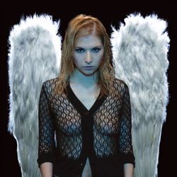 Foto do artista Skylark
