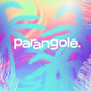 Imagem do artista Parangolé