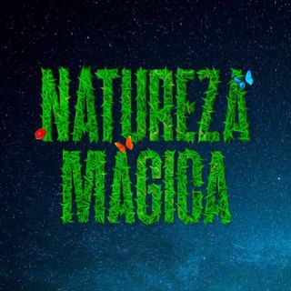 Imagem do artista Natureza Mágica